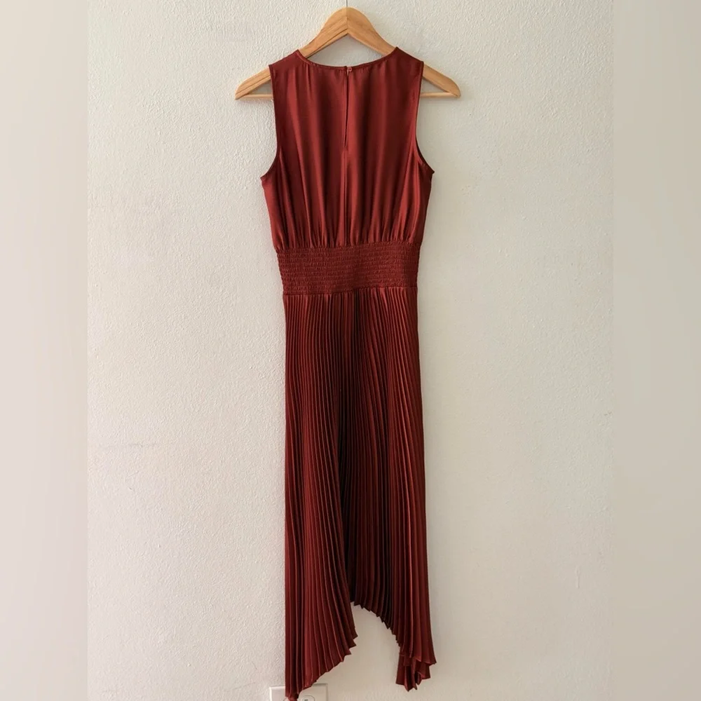 Express Sleeveless Pleated Maxi Dress in Rust - Picture 2 of 6